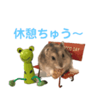 ハムスター★《おもちと愉快な仲間たち》（個別スタンプ：5）