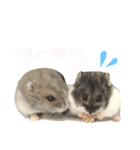 ハムスター★《おもちと愉快な仲間たち》（個別スタンプ：6）