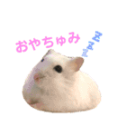 ハムスター★《おもちと愉快な仲間たち》（個別スタンプ：9）