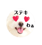 しろもふ日和（個別スタンプ：9）