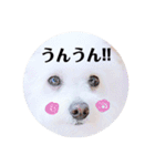 しろもふ日和（個別スタンプ：18）