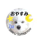 しろもふ日和（個別スタンプ：23）