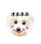 しろもふ日和（個別スタンプ：24）