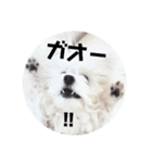 しろもふ日和（個別スタンプ：26）