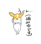 パーティカラー チワワの日常スタンプ！（個別スタンプ：15）