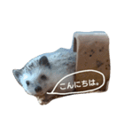 ハリネズミ きなことあんこ2（個別スタンプ：6）