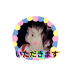 こずたんスタンプ（個別スタンプ：3）
