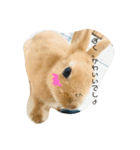 れおたん、第2弾（個別スタンプ：1）