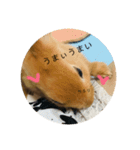 れおたん、第2弾（個別スタンプ：2）