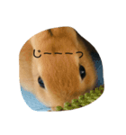 れおたん、第2弾（個別スタンプ：3）