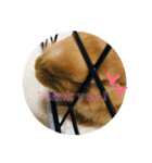 れおたん、第2弾（個別スタンプ：9）
