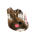 れおたん、第2弾（個別スタンプ：10）