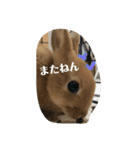 れおたん、第2弾（個別スタンプ：12）