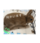れおたん、第2弾（個別スタンプ：13）