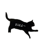 吾輩はジジである（個別スタンプ：2）