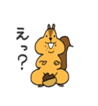 リスのリス吉（個別スタンプ：1）