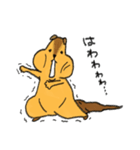 リスのリス吉（個別スタンプ：22）