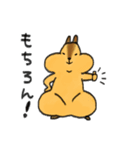 リスのリス吉（個別スタンプ：37）