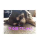 しふぉん1（個別スタンプ：5）