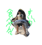 インスタントラーメンズ（個別スタンプ：6）