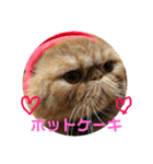 猫ちゃんの何食べようスタンプ（個別スタンプ：3）