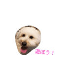 ライトスタンプ（個別スタンプ：7）