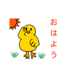 ピヨひこの1日（個別スタンプ：1）