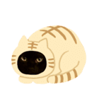 黒猫モモちゃん（個別スタンプ：1）
