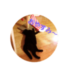 黒猫モモちゃん（個別スタンプ：3）