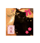 黒猫モモちゃん（個別スタンプ：7）