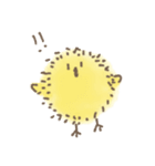 ゆるふわ ひよこくん（個別スタンプ：1）