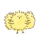 ゆるふわ ひよこくん（個別スタンプ：15）
