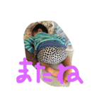文句たれのオヤジ2（個別スタンプ：14）