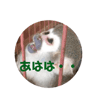 坂本動物園（個別スタンプ：8）