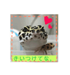 うちのこぶゆちゃん（個別スタンプ：7）