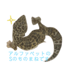 うちのこぶゆちゃん（個別スタンプ：9）