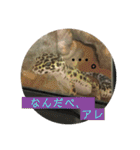 うちのこぶゆちゃん（個別スタンプ：20）