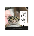 うちのこぶゆちゃん（個別スタンプ：22）