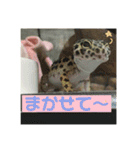 うちのこぶゆちゃん（個別スタンプ：25）
