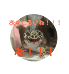 うちのこぶゆちゃん（個別スタンプ：27）