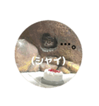 うちのこぶゆちゃん（個別スタンプ：29）
