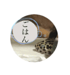 うちのこぶゆちゃん（個別スタンプ：32）