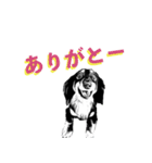 毎日のパル君。（個別スタンプ：6）