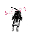 毎日のパル君。（個別スタンプ：7）