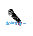 毎日のパル君。（個別スタンプ：11）