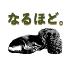 毎日のパル君。（個別スタンプ：12）
