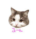 しぴたんのすたんぷだよ（個別スタンプ：10）