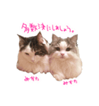 しぴたんのすたんぷだよ（個別スタンプ：22）