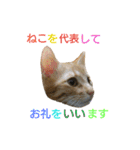 ♡アンナとチルチルのスタンプ♡（個別スタンプ：6）