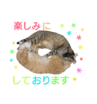 ♡アンナとチルチルのスタンプ♡（個別スタンプ：7）